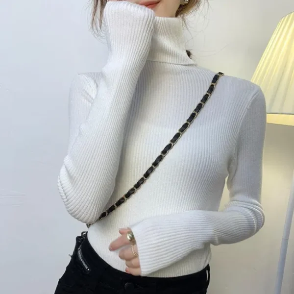 High Neck For Women ladies Girls turtle Neck winter season Lahore Online - Image 2